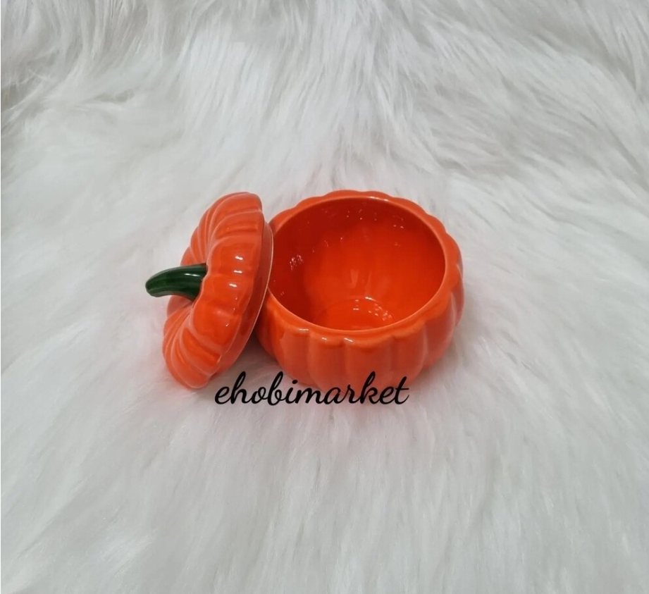 Kapakli kabak2 silikon kalip