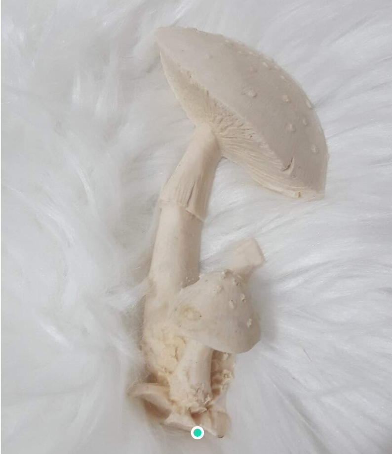 Pano süsü mantar silikon kalip