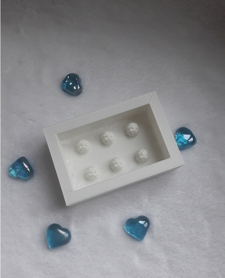 Böğürtlen silikon kalip